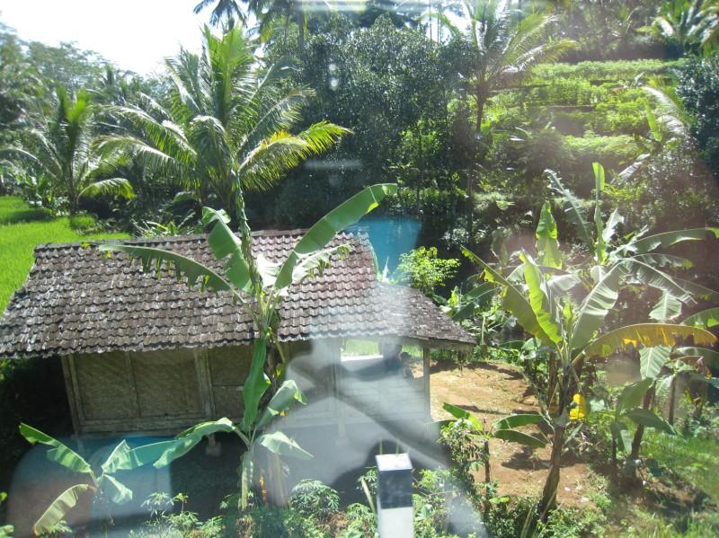 2007 07 12 BALI 0054.jpg